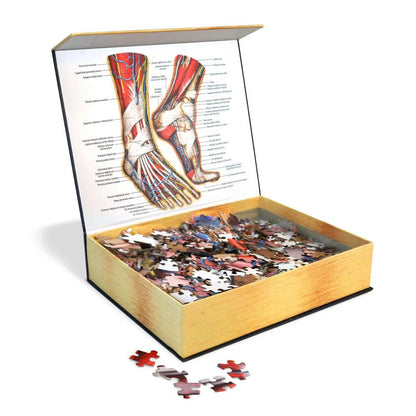 [Grade A] Dr. Livingston's Anatomy Jigsaw Puzzle: The Human Feet
