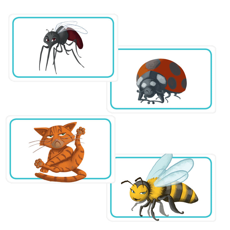 [Grade A] Concept Kids Animals