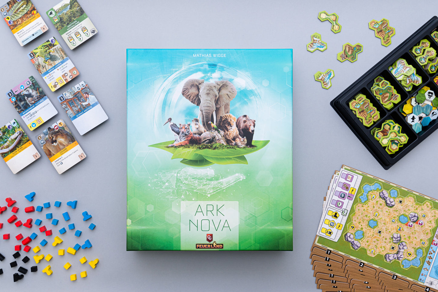 [Grade C] Ark Nova