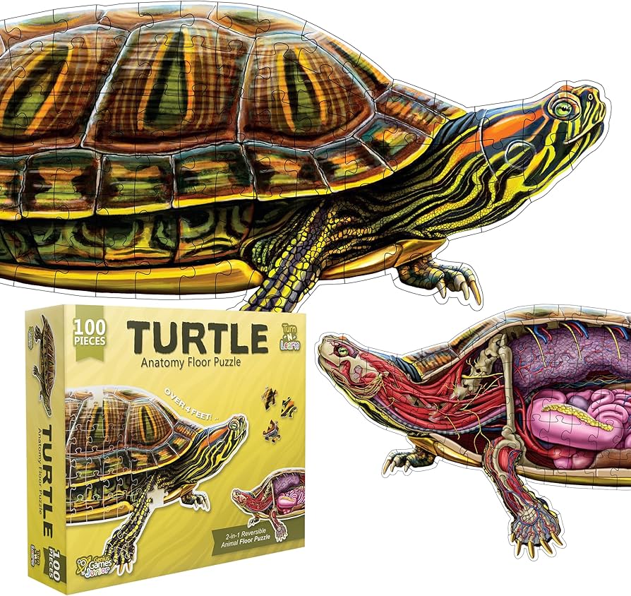[Grade A] Turtle Anatomy Floor Puzzle