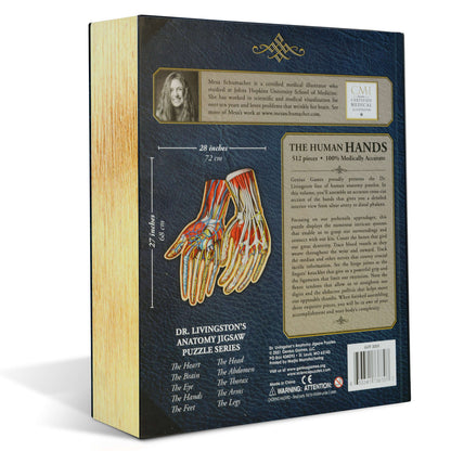[Grade A] Dr. Livingston's Anatomy Jigsaw Puzzle: The Human Hands