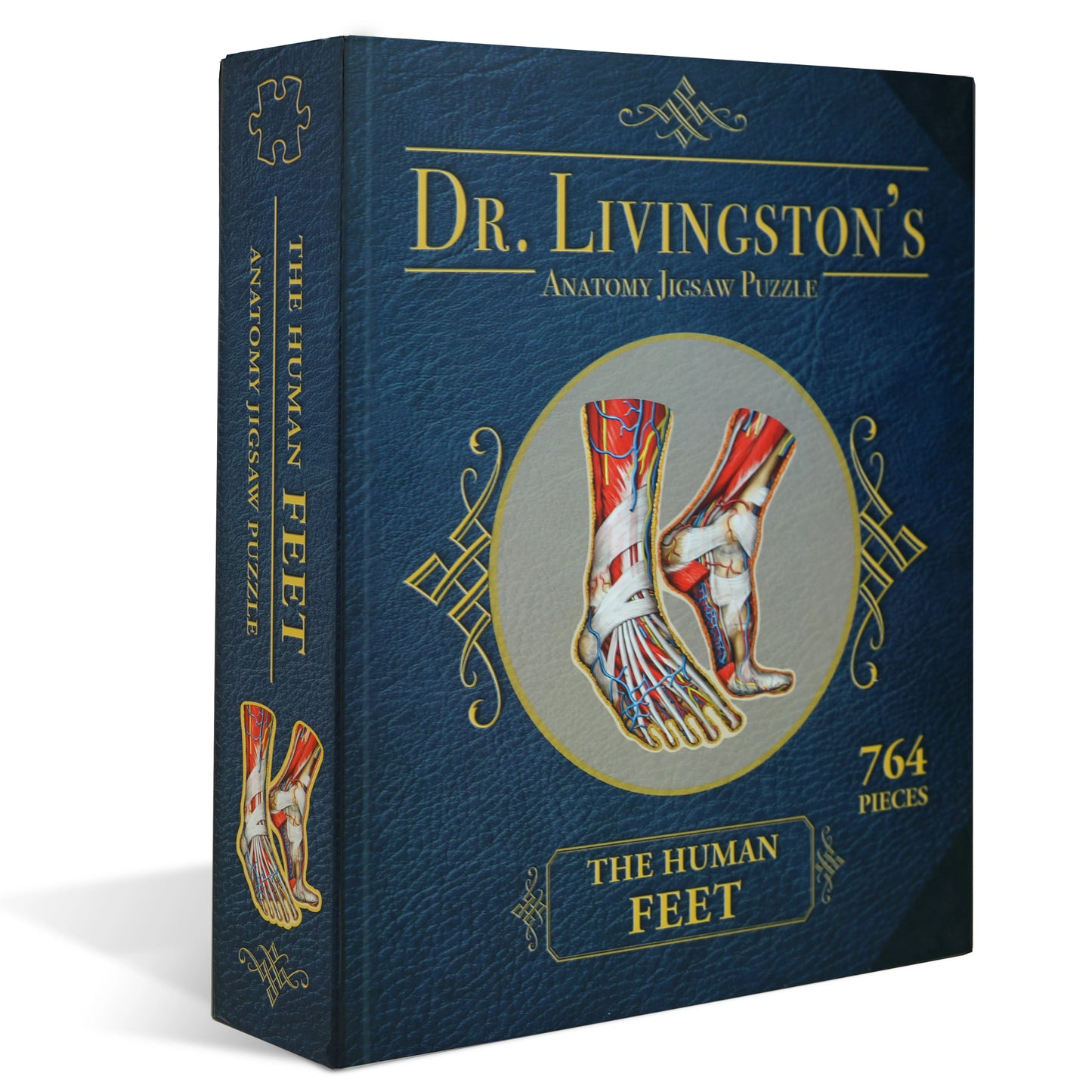 [Grade A] Dr. Livingston's Anatomy Jigsaw Puzzle: The Human Feet