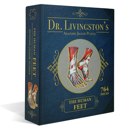 [Grade A] Dr. Livingston's Anatomy Jigsaw Puzzle: The Human Feet