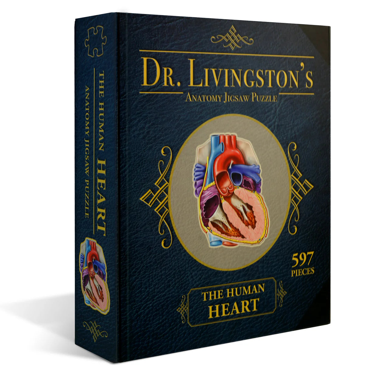[Grade A] Dr. Livingston's Anatomy Jigsaw Puzzle: The Human Heart