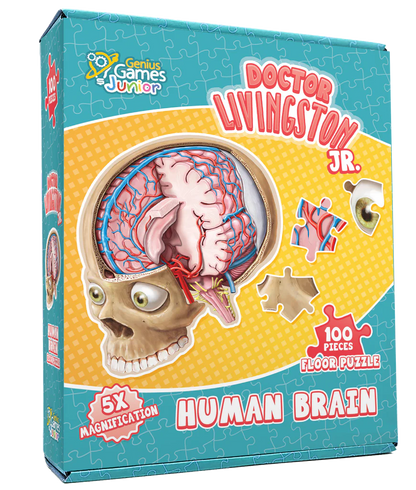 [Grade A] Dr. Livingston Jr. Floor Puzzle: Brain