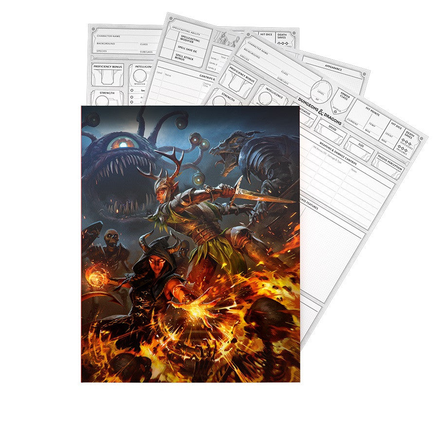 [Grade A] D&D Dungeons & Dragons Character Sheets (2024)