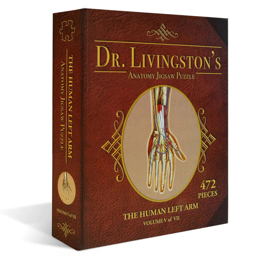 [Grade A] Dr. Livingston's Anatomy Jigsaw Puzzle: The Human Left Arm