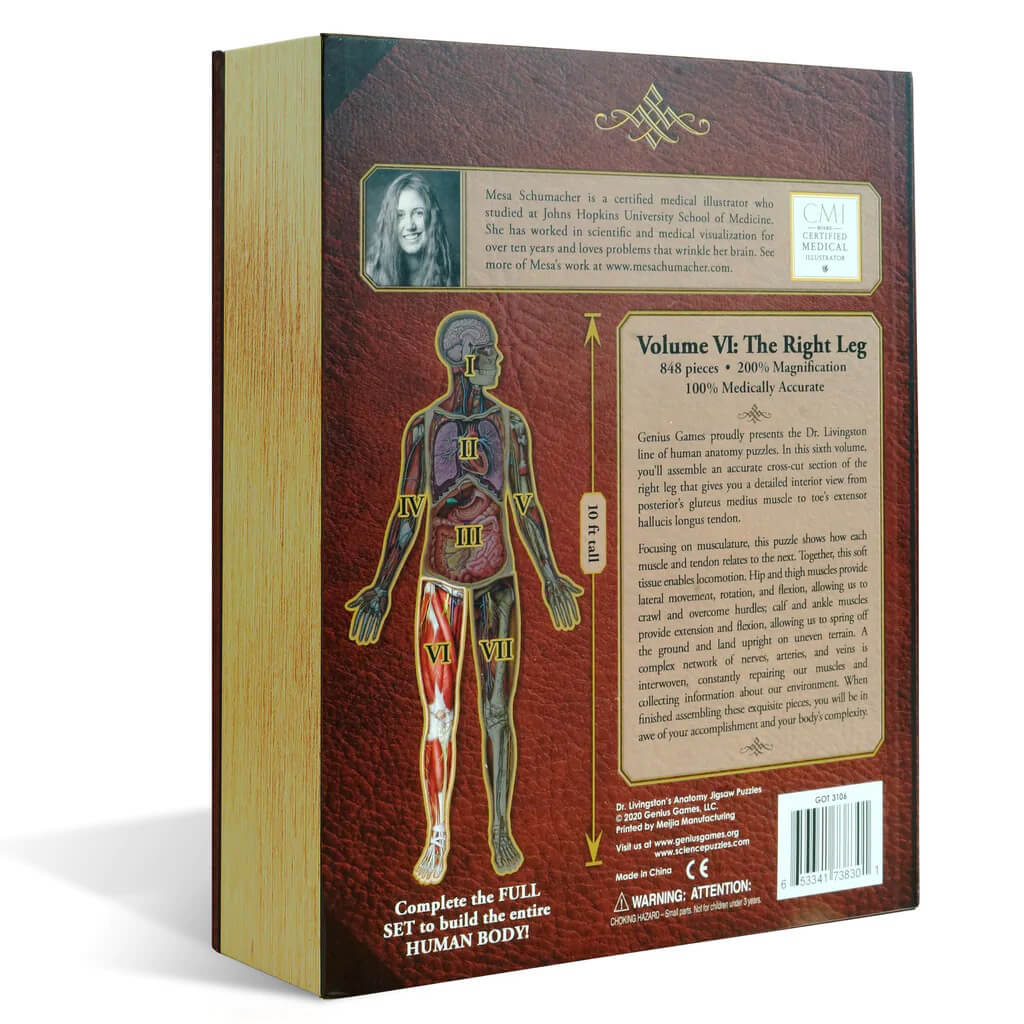 [Grade A] Dr. Livingston's Anatomy Jigsaw Puzzle: The Human Right Leg