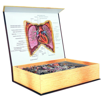 [Grade A] Dr. Livingston's Anatomy Jigsaw Puzzle: The Human Thorax