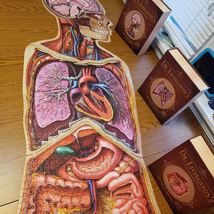 [Grade A] Dr. Livingston's Anatomy Jigsaw Puzzle: The Human Thorax