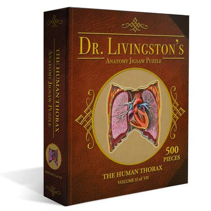 [Grade A] Dr. Livingston's Anatomy Jigsaw Puzzle: The Human Thorax
