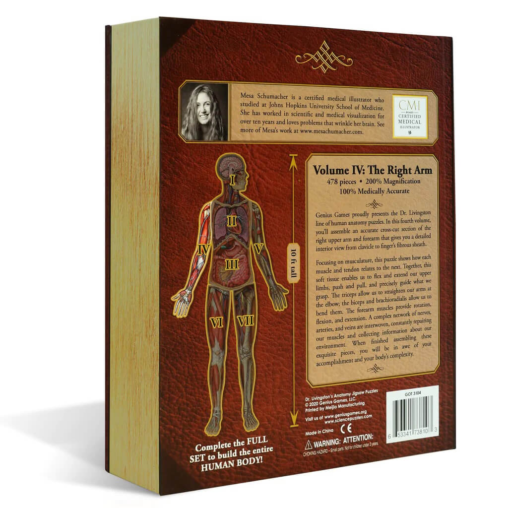 [Grade A] Dr. Livingston's Anatomy Jigsaw Puzzle: The Human Right Arm