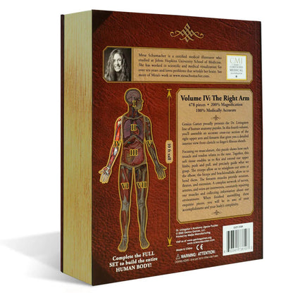 [Grade A] Dr. Livingston's Anatomy Jigsaw Puzzle: The Human Right Arm