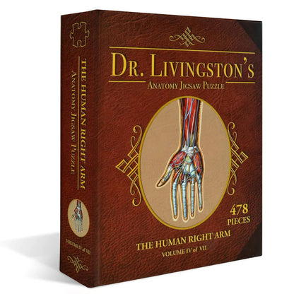 [Grade A] Dr. Livingston's Anatomy Jigsaw Puzzle: The Human Right Arm