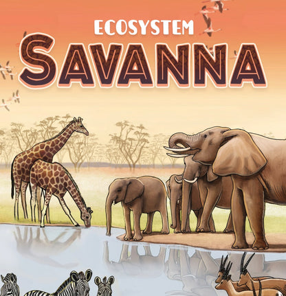 [Grade A] Ecosystem Savanna