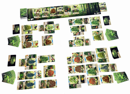 [Grade A] Forest Shuffle
