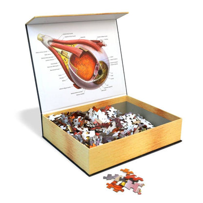 [Grade A] Dr. Livingston's Anatomy Jigsaw Puzzle: The Human Eye