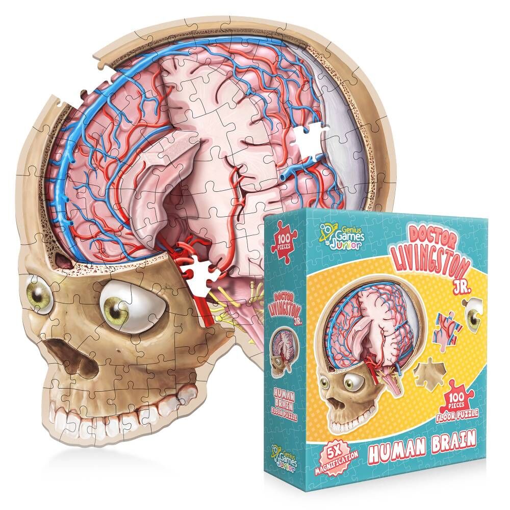 [Grade A] Dr. Livingston Jr. Floor Puzzle: Brain